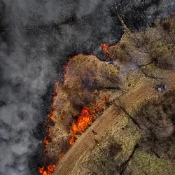 March 2021 (Shaker Village of Pleasant Hill)